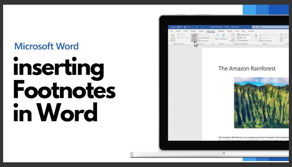 inserting-footnotes-in-word